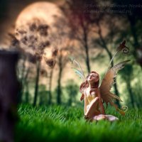 Мечты :: Роман Носков 