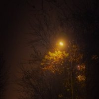 Вечер в пелене тумана :: Леонид Абросимов