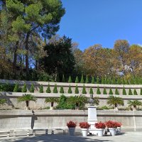 Ливадийский парк. Крым. :: Галина Ливадийский парк. Крым. :: Галина