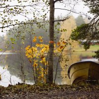 В осенних ритмах :: liudmila drake