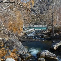 Устье Большого Ильгуменя :: Валерий Медведев