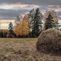 Про Питер :: Владимир Колесников