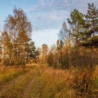 Осенний вечер 11 :: Андрей Дворников