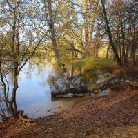 Осень на Елагином :: Наталья Герасимова