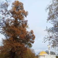 Осень :: Сапсан 