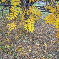 Конец октября :: Валерий Иванович Конец октября :: Валерий Иванович