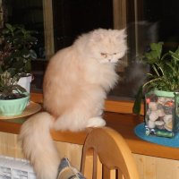 Мой дом :: Венера Чуйкова