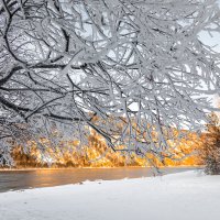 Зима в Дивногорске :: Юлия Ермолаева