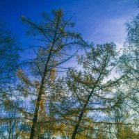 ОСЕНЬ - мой город :: Владимир Максимов