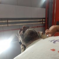 13  ОПЕН (583) :: OPEN WAYS ALL