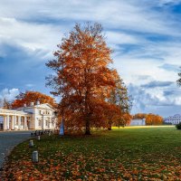 Осень на Елагином :: Евгений Осень на Елагином :: Евгений