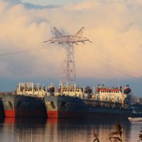 пастух и его стадо :: Елена Шаламова