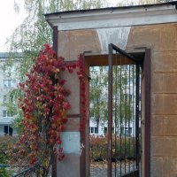 *** :: Валентина Береснева