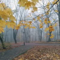 *** :: Валентина Береснева