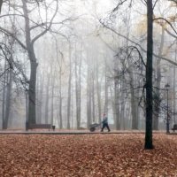 *** :: Валентина Береснева