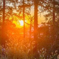 Рассвет на перевале (04:38). г. Миасс, Машгородок, Ильменский хребет. :: Алексей Трухин