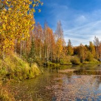 Октябрь :: Oleg S 