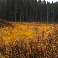 Осенний Сюжет :: юрий поляков