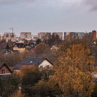 Мои окрестности. :: Петр Беляков