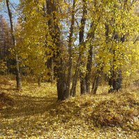 Талгар. :: Murat Bukaev 