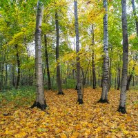 ***** :: юрий поляков