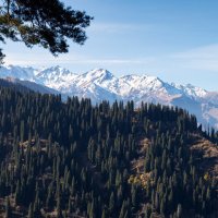 Осенним утром :: Алексей Большаков