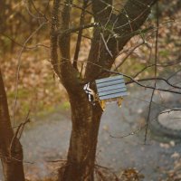 В осеннем парке :: Ирэн В осеннем парке :: Ирэн