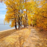 Осень. Волга :: Надежда 