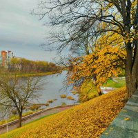 Река Западная Двина :: Галина Бобкина