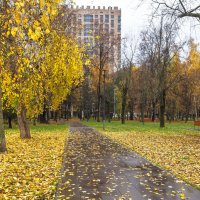 ***** :: юрий поляков ***** :: юрий поляков