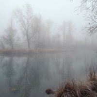 Утро туманное. :: Николай Привалов