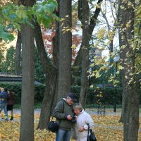 Осенние кадры. :: Сергей Рожков