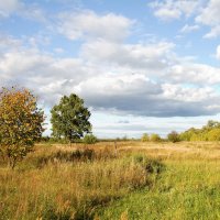 Осенний день. :: Сергей Рожков