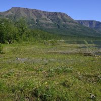 ** :: Александр Хаецкий