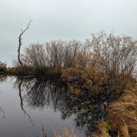 Кавголовское озеро :: skijumper Иванов