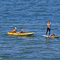 События / Репортаж :: Владислав Воровский 