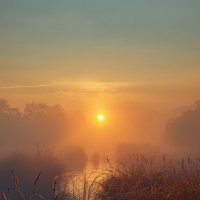 A serene marsh at sunrise :: Vsevolod Boicenka