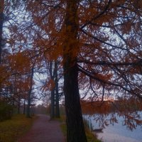 Рассвет :: Сапсан 