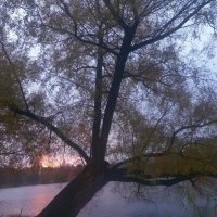 Рассвет :: Сапсан 