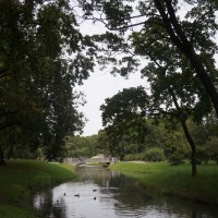 Таврический сад :: zavitok *