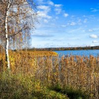 Осень в конце октября. :: Милешкин Владимир Алексеевич 