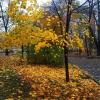 Осень в городе :: Андрей Лукьянов