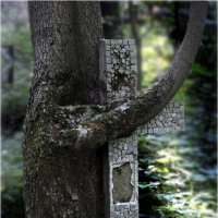 «Защитник». Волковское кладбище. 2007 г. :: Станислав Лебединский