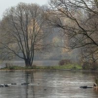 Осень. :: Владимир Безбородов