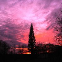 Октябрьский вечер :: Людмила Смородинская