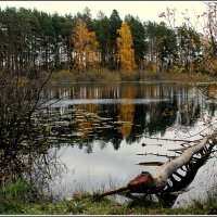 *** :: Aleksandr Gal