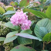 ,,, :: Сергей Тимоновский