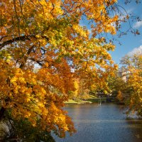 *** :: Геннадий Порохов *** :: Геннадий Порохов