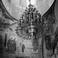 "-" :: Светлана Фокша