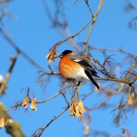 ** :: Зоя Мишина